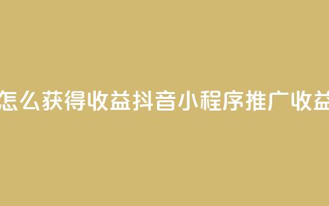 抖音推广小程序怎么获得收益 - 抖音小程序推广收益获取指南~ 第1张 抖音推广小程序怎么获得收益 - 抖音小程序推广收益获取指南~ 第1张