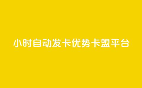 24小时自动发卡，优势pubg卡盟平台 第1张