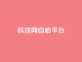 nap6科技网自助平台,抖音1元1000粉真的吗 - qq空间点赞自助 - 抖音快手业务网站