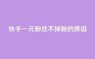 快手一元1w粉丝不掉粉的原因,KS业务下单平台最新 - 王者官方网站刷人气值 - 快手粉丝1块