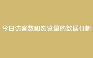 今日访客数和浏览量的数据分析