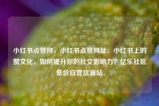 小红书点赞网，小红书点赞网址，小红书上的赞文化，如何提升你的社交影响力？亿乐社区低价自营货源站