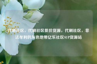 代刷社区，代刷社区低价货源，代刷社区，非法牟利的灰色地带亿乐社区SUP货源站