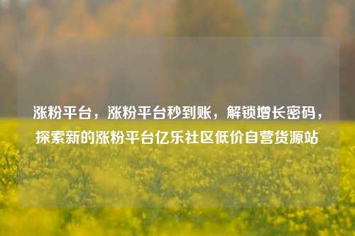 涨粉平台，涨粉平台秒到账	，解锁增长密码，探索新的涨粉平台亿乐社区低价自营货源站  第1张